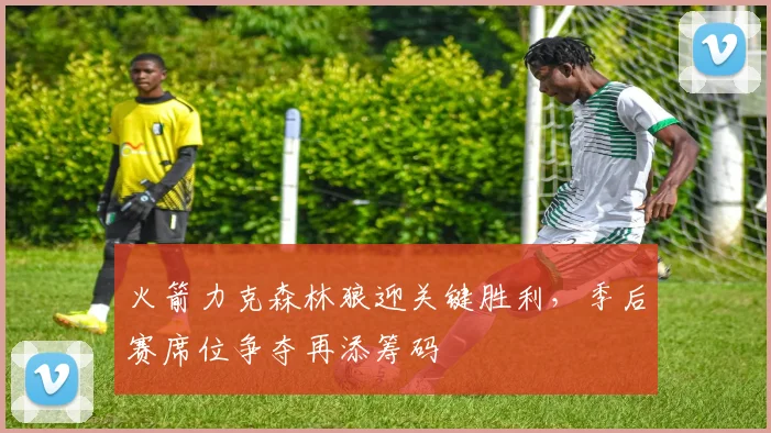 火箭力克森林狼迎关键胜利,季后赛席位争夺再添筹码