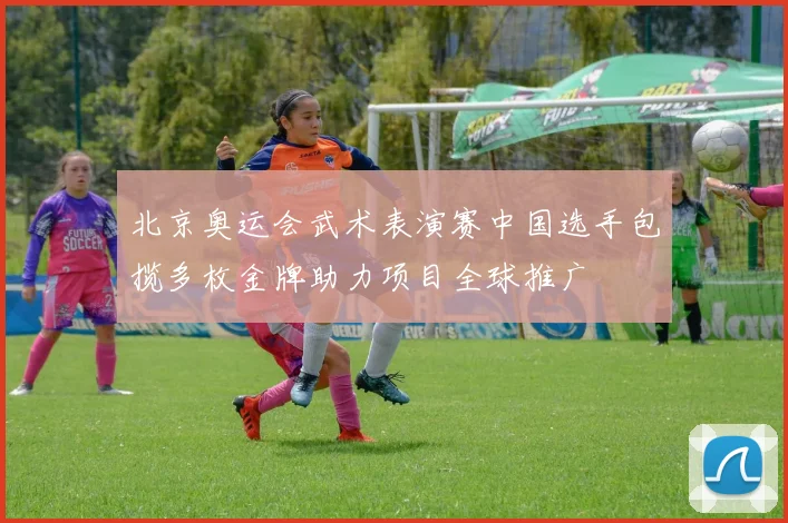 北京奥运会武术表演赛中国选手包揽多枚金牌助力项目全球推广
